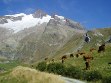 France-Savoy-Mont Blanc Ride